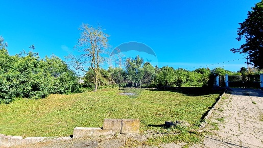 Foto Terreno agricolo in Via Della Falcognana, Roma Falcognana di 1624 m²