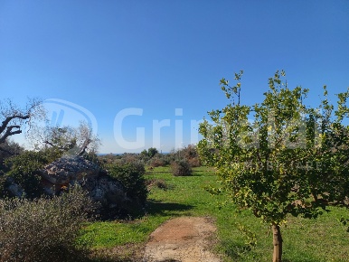 Foto Terreno agricolo in Contrada Romani 2, Ugento di 6100 m² in vendita