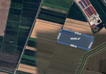 Foto Terreno agricolo in Via NELLO GIOACHIN SNC, Casale di Scodosia