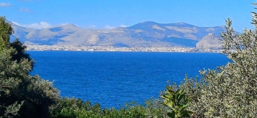 Foto Terreno agricolo in Via comunale mongerbino snc, Bagheria di 7187 m²