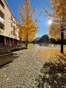 Foto Negozio in Corte grande, Gessate Centro di 70 m² con 1 locali