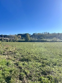 Foto Terreno agricolo in strada guado cinto, Tuscania di 13000 m²