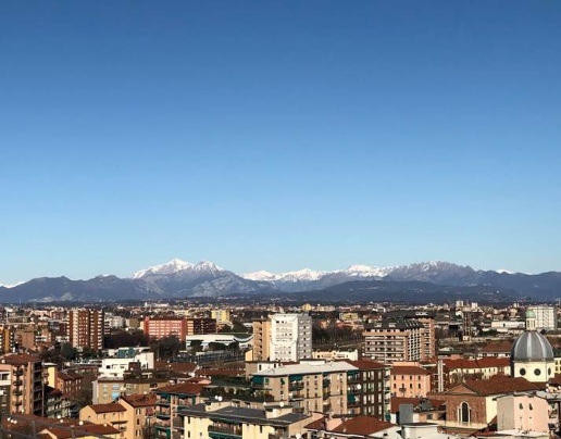 immagine annuncio 11 di 14