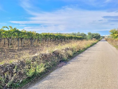 Foto Terreno agricolo in STRADA COMUNALE VECCHIA BARLETTA, Cerignola