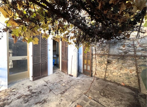 immagine annuncio 4 di 14