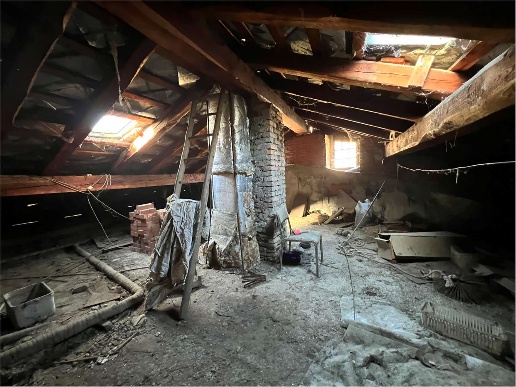 immagine annuncio 12 di 14