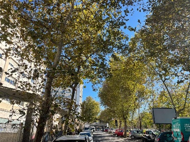 Foto Ufficio a Roma di 51 m² con 1 locali in vendita