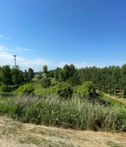 Foto Terreno edificabile in Via Achille Grandi, Borgo Mantovano Revere