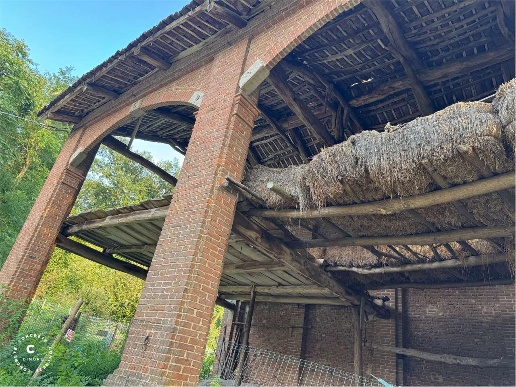 immagine annuncio 3 di 8