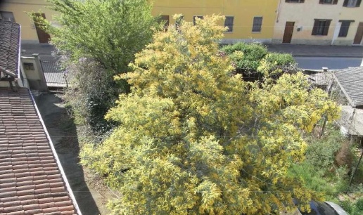 immagine annuncio 6 di 7