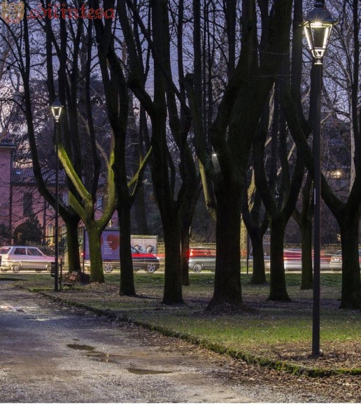 immagine annuncio 5 di 7