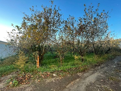 Foto Terreno industriale in avella, Avella di 8001 m² in vendita