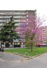 Foto Appartamento in Via Capecelatro, Milano San Siro di 40 m² con 2 locali