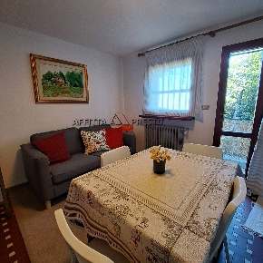 Foto Appartamento a Bertinoro di 43 m² con 2 locali in affitto