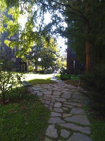 Foto Appartamento in via pietro radaelli 11, Milano Tripoli - Soderini