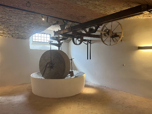 immagine annuncio 4 di 9