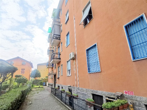 immagine annuncio 3 di 10