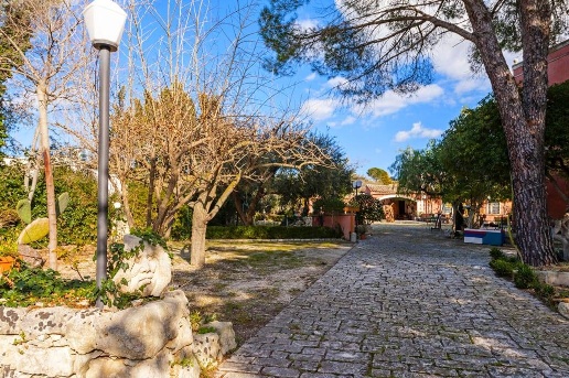 immagine annuncio 9 di 14