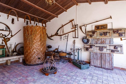 immagine annuncio 11 di 14