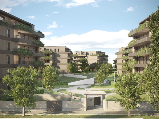 immagine annuncio 6 di 12