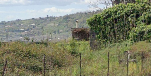 immagine annuncio 4 di 7