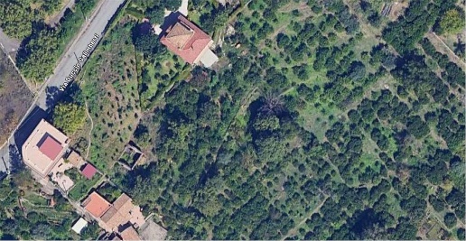 immagine annuncio 6 di 7