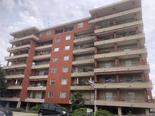 immagine annuncio 9 di 14