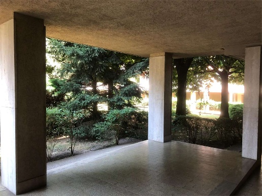 immagine annuncio 13 di 14