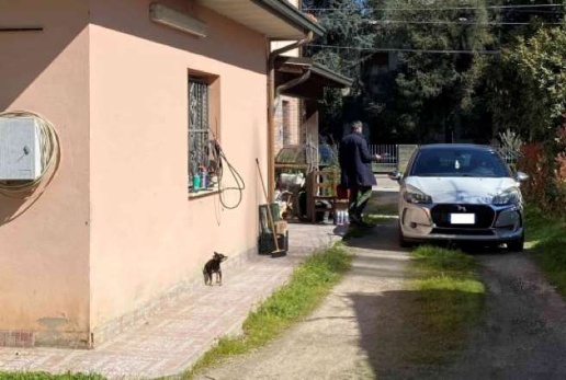 immagine annuncio 9 di 15