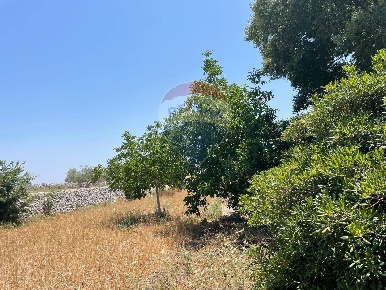 Foto Terreno agricolo in contrada Sanangelo, Modica Modica Bassa in vendita