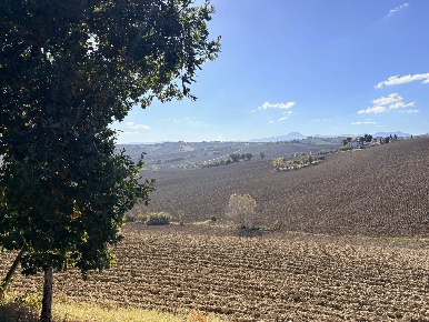 Foto Rustico in via Longola, Belvedere Ostrense Centro di 1000 m²