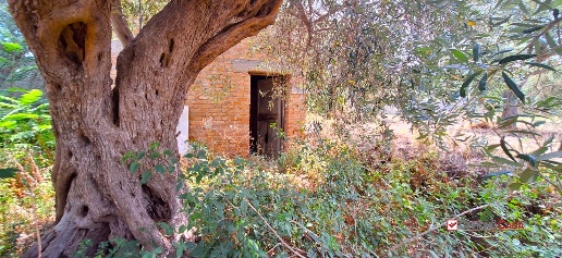 Foto Rustico in Spartà s s 113, Messina Gesso di 120 m² con 3 locali