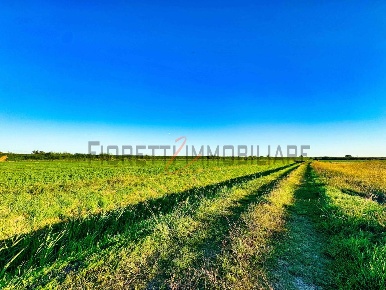 Foto Terreno agricolo a Castiglione della Pescaia Tirli, Vetulonia, Buriano
