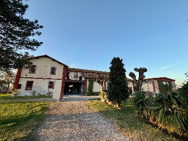 Foto Rustico in Via Oriolo 2, Molinella Frazioni di Molinella di 710 m²