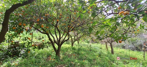 Foto Terreno edificabile in rometta, Rometta di 2400 m² in vendita