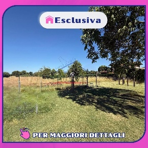 Foto Terreno residenziale a Arezzo di 3500 m² in vendita