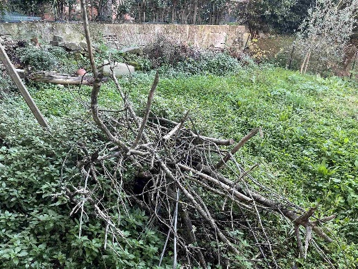 immagine annuncio 3 di 11