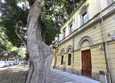 Foto Negozio in Viale Trieste 38, Cagliari Stampace di 287 m² con 2 locali