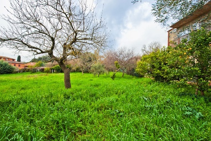 Foto Terreno edificabile in Via Angelo Ugoleto 69, Roma Trigoria di 1000 m²