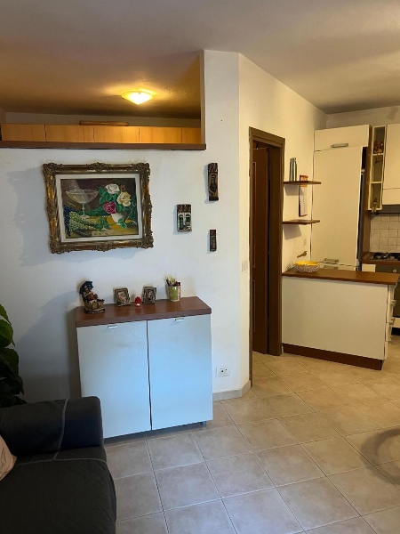 immagine annuncio 7 di 14