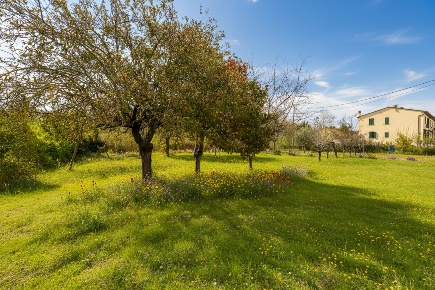 Foto Appartamento a Ponsacco Centro di 84 m² con 4 locali in vendita