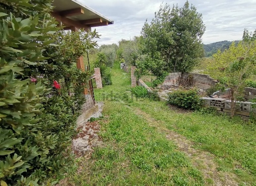 immagine annuncio 9 di 13