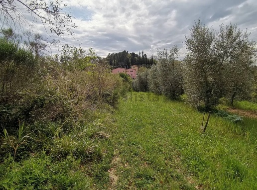 immagine annuncio 11 di 13