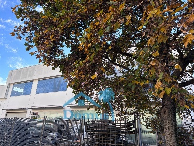 Foto Capannone industriale in Via Botteghe, Scalenghe di 1250 m² in affitto