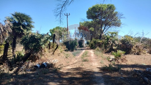 Foto Terreno agricolo a Barletta Montaltino - Canne di 17000 m² in vendita