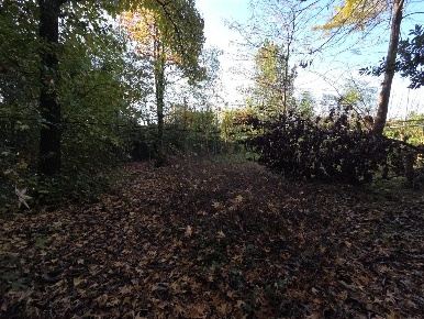 Foto Terreno residenziale a Capannori Lammari - Lunata di 2000 m²