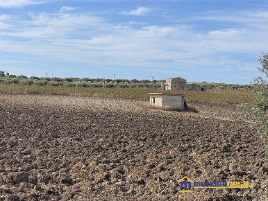 Foto Terreno in c.da Maccari Sa Lorenzo, Noto di 22853 m² in vendita