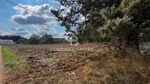 Foto Terreno agricolo in Contrada Marzagaglia, Gioia del Colle di 6407 m²