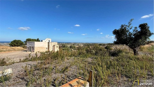 Foto Terreno agricolo in Strada Provinciale 117, Mola di Bari di 31000 m²