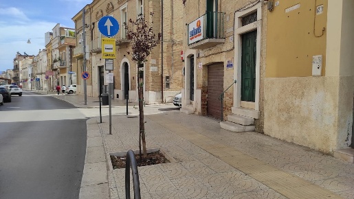 Foto Box in Via MINUZIANO 128, San Severo di 235 m² con 3 locali in vendita